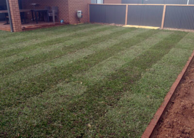 Instant Lawn Installers Geelong