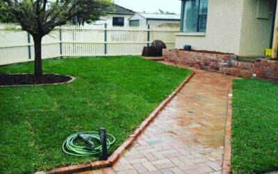 Keeping your lawn healthy all year round